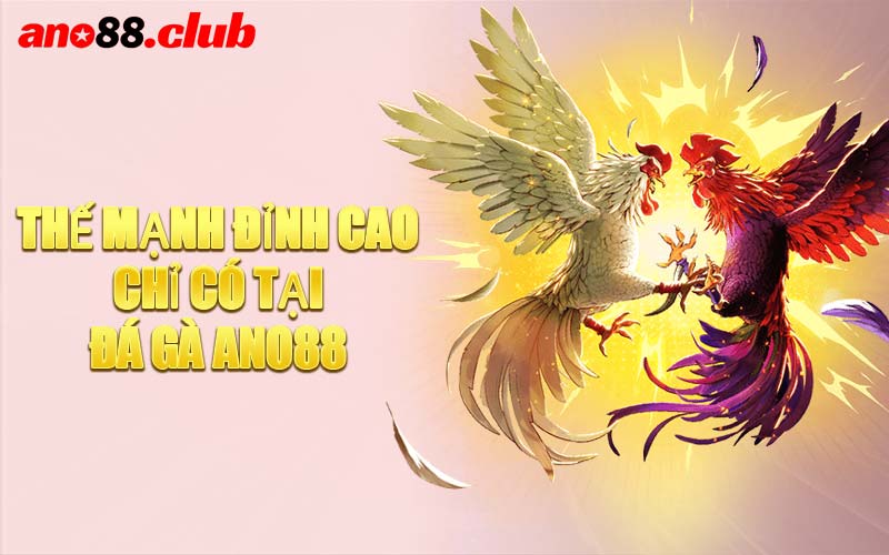 Thế Mạnh Đỉnh Cao Chỉ Có Tại Đá Gà ANO88
